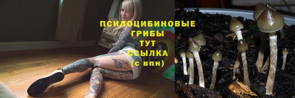 СК Приозерск