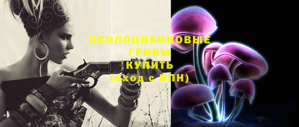 PSILOCYBIN Пролетарск